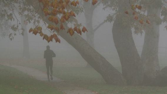 Smog bieganie układ oddechowy