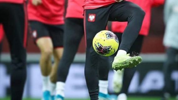 TVP ekspert murawa