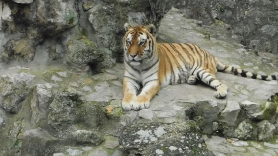 Zoo Poznań