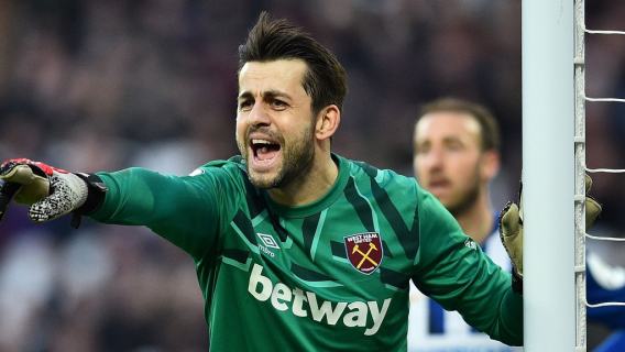 Premier League, Łukasz Fabiański