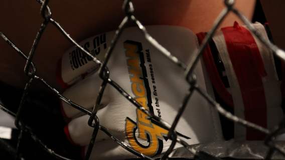 MMA