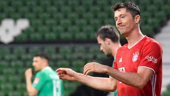 Robert Lewandowski Kołtoń