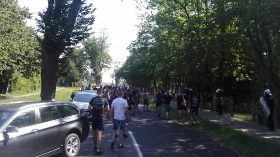 Kibice