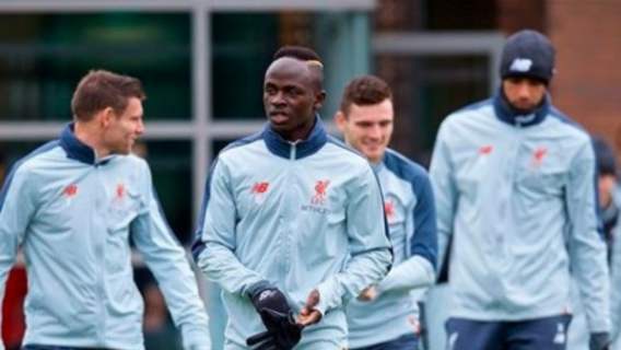 Liverpool Mane