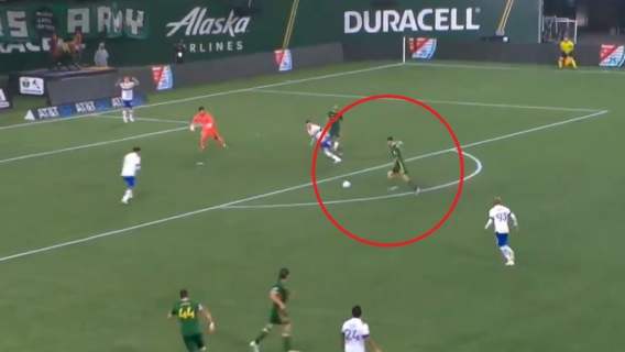 gol niezgoda