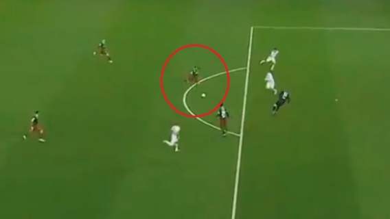 Grzegorz Krychowiak gol